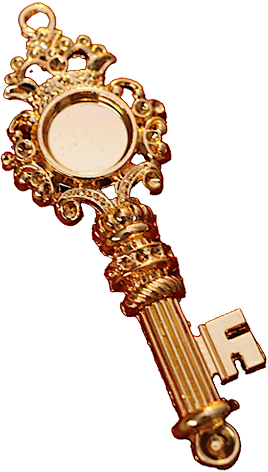 search in store